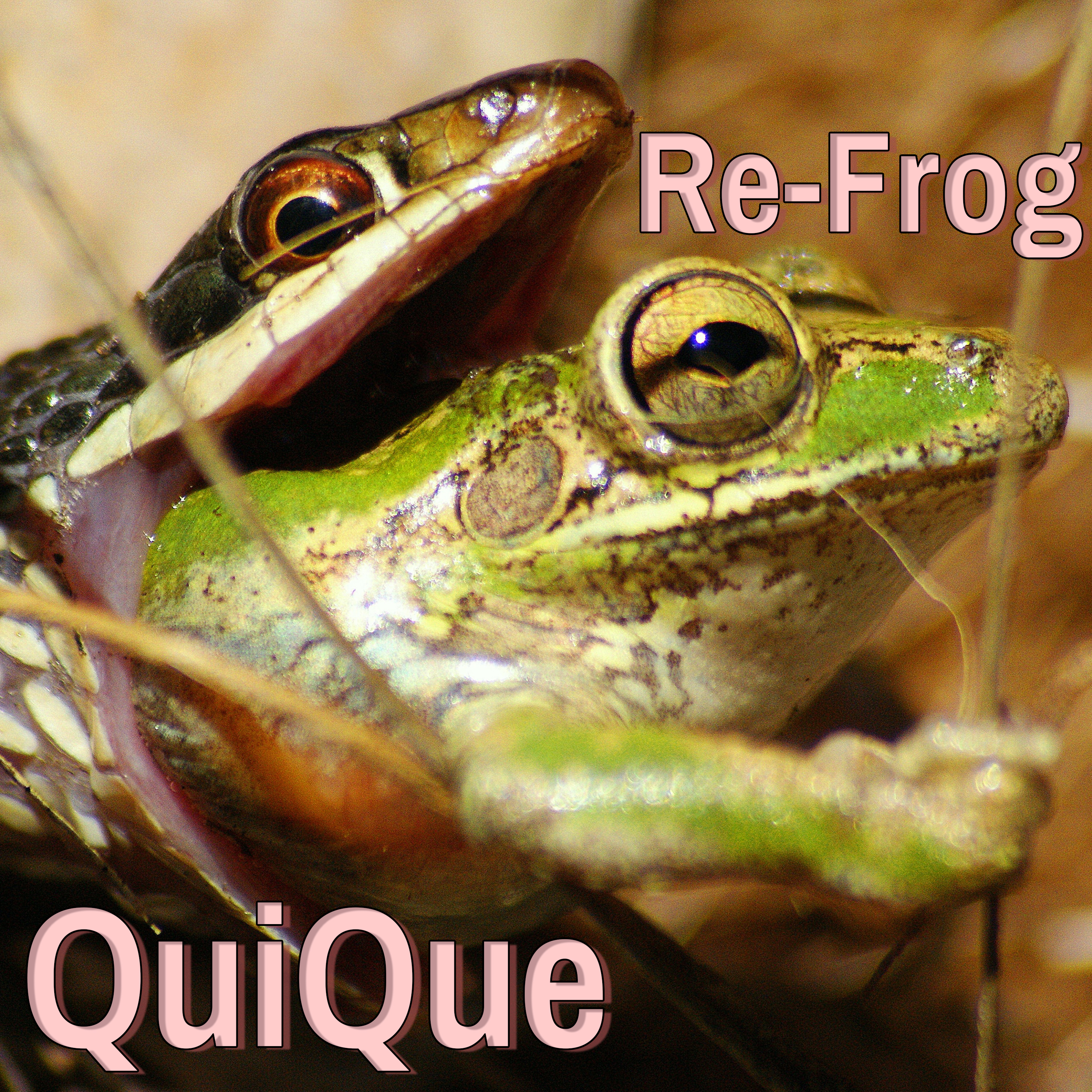 Album by QuiQue